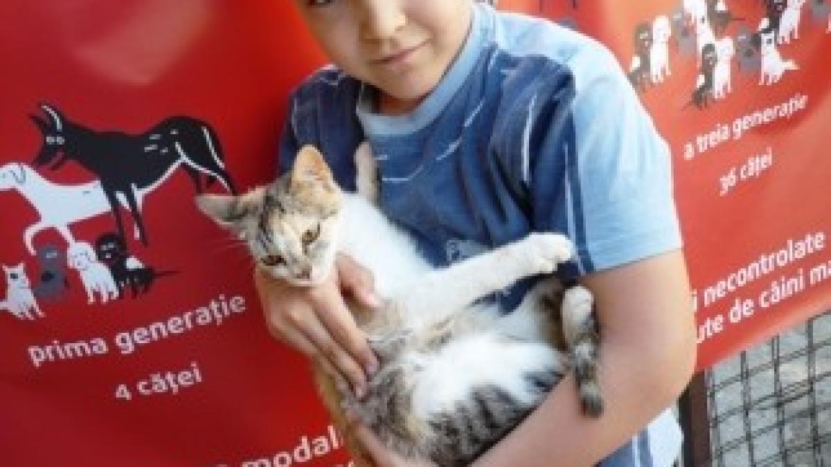 junior-iubitor-de-animale