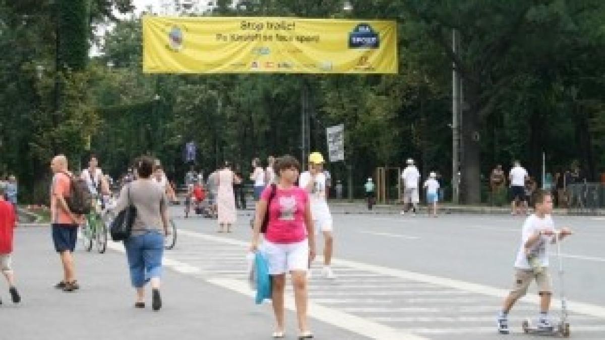 ViaSport-400D-304_750x500.shkl_