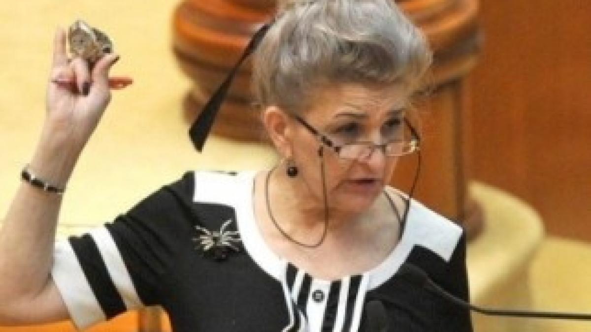 aura_vasile_03556800