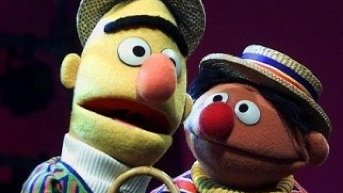 bert_si_ernie_11268400