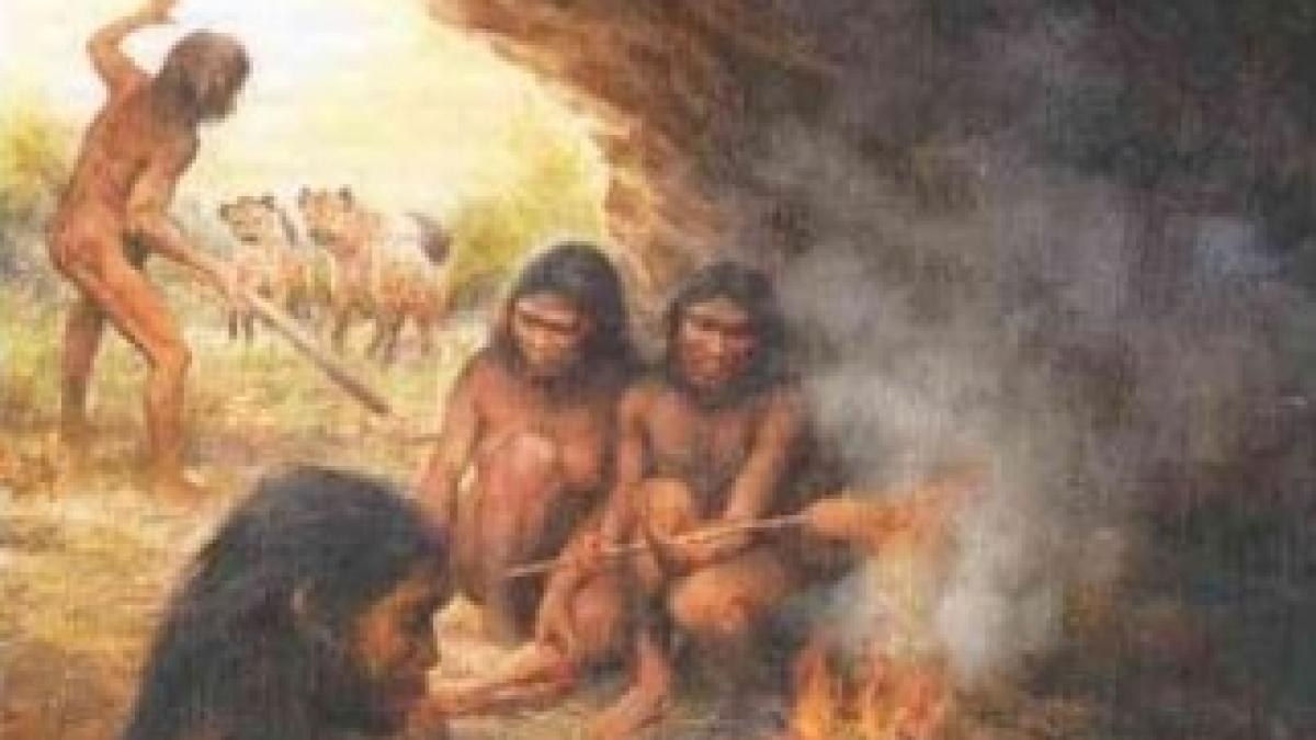 homo_erctus_46494300