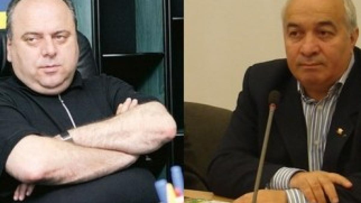 gheorghe-stefan-adrian-iliescu