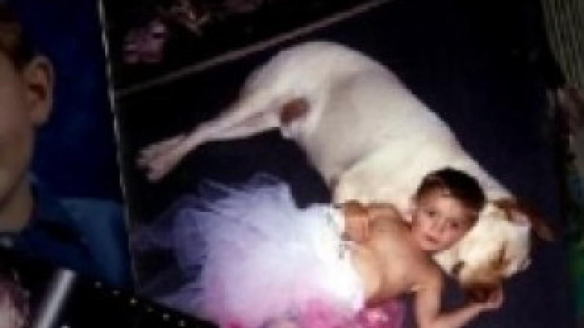 transsexual-la-10-ani