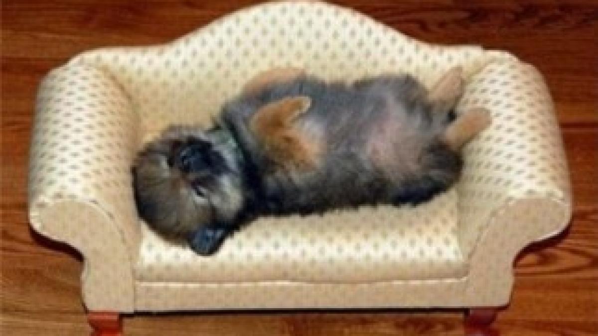 article-0-0DDF15A200000578-827_634x448