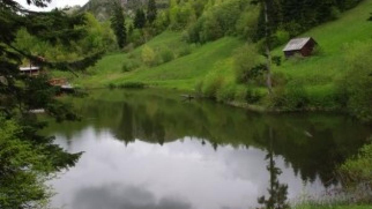 rosia-montana-peisaj