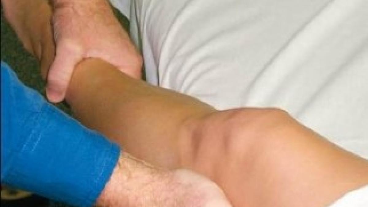 1003005_poza_1194835908