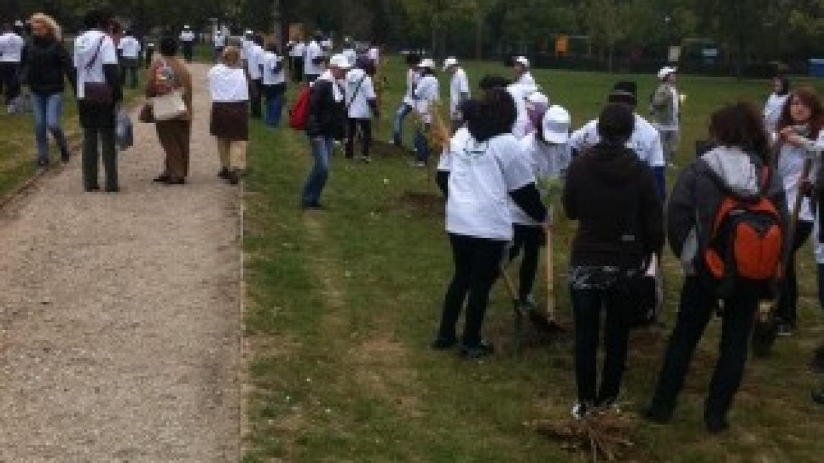 ALPAB-22-10-PLANTARI-IZVOR