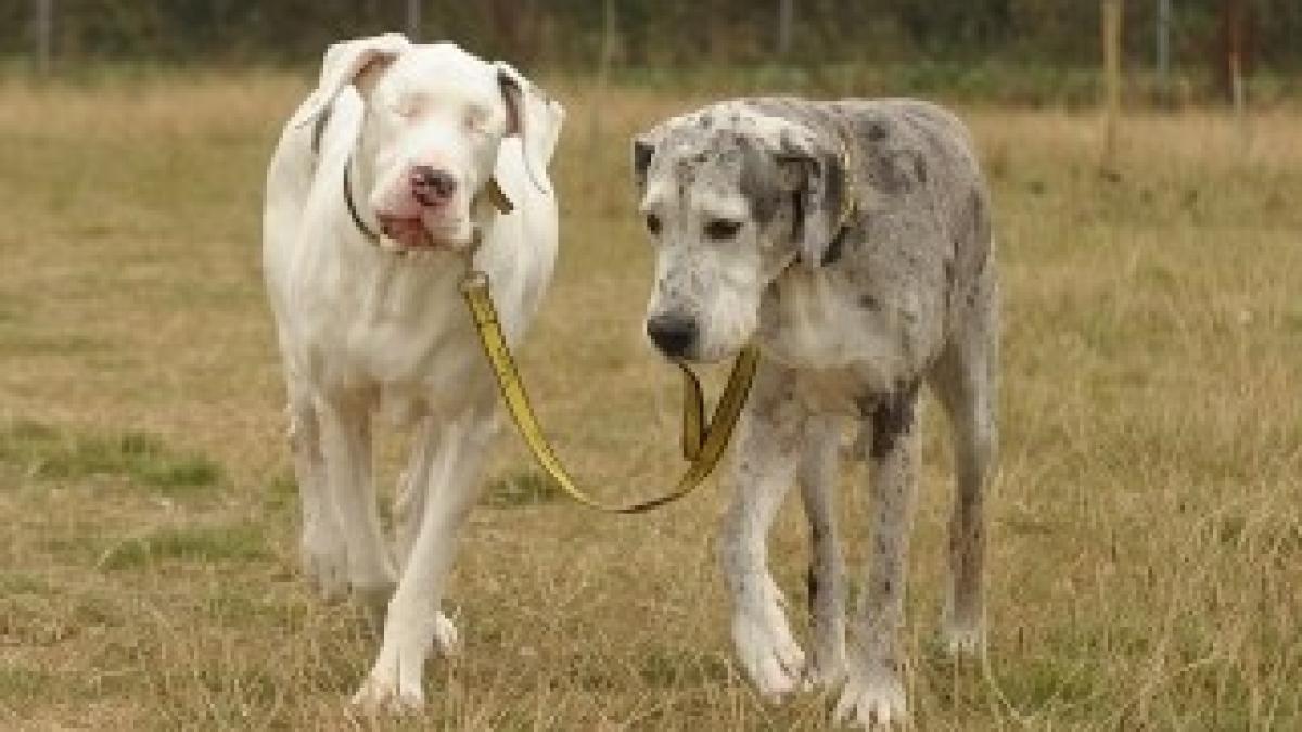 article-2051780-0E780C5200000578-729_634x422