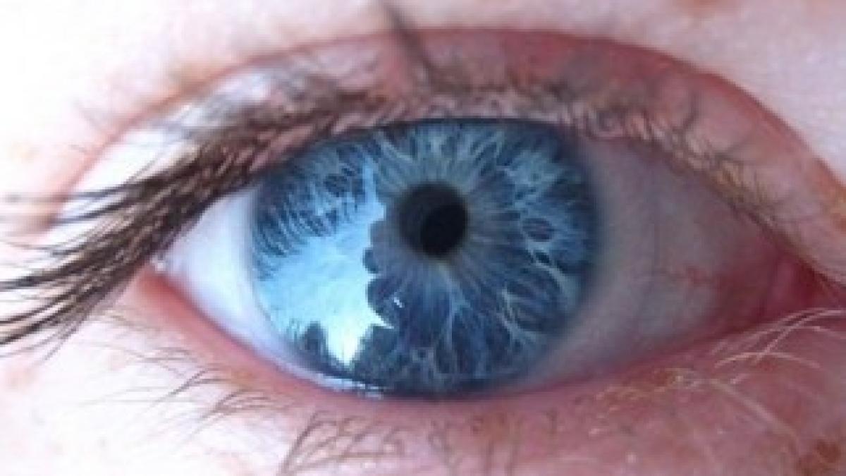 2442639103_1fbbc98486_b