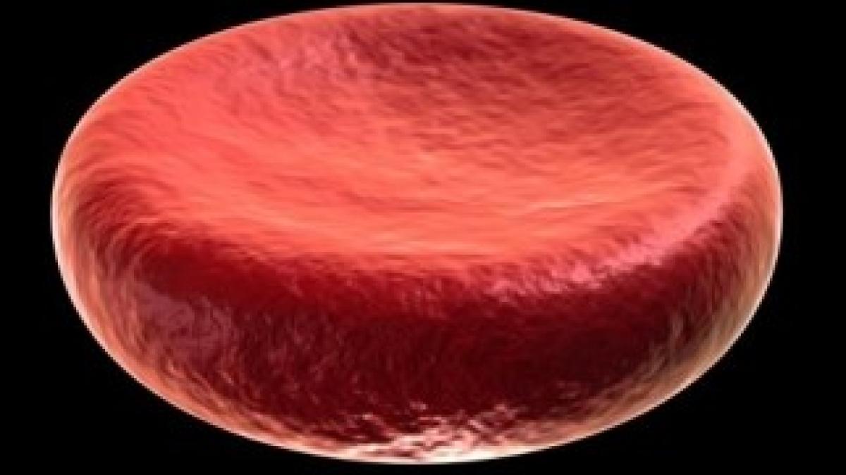 RedBloodCell_Rogeriopfm