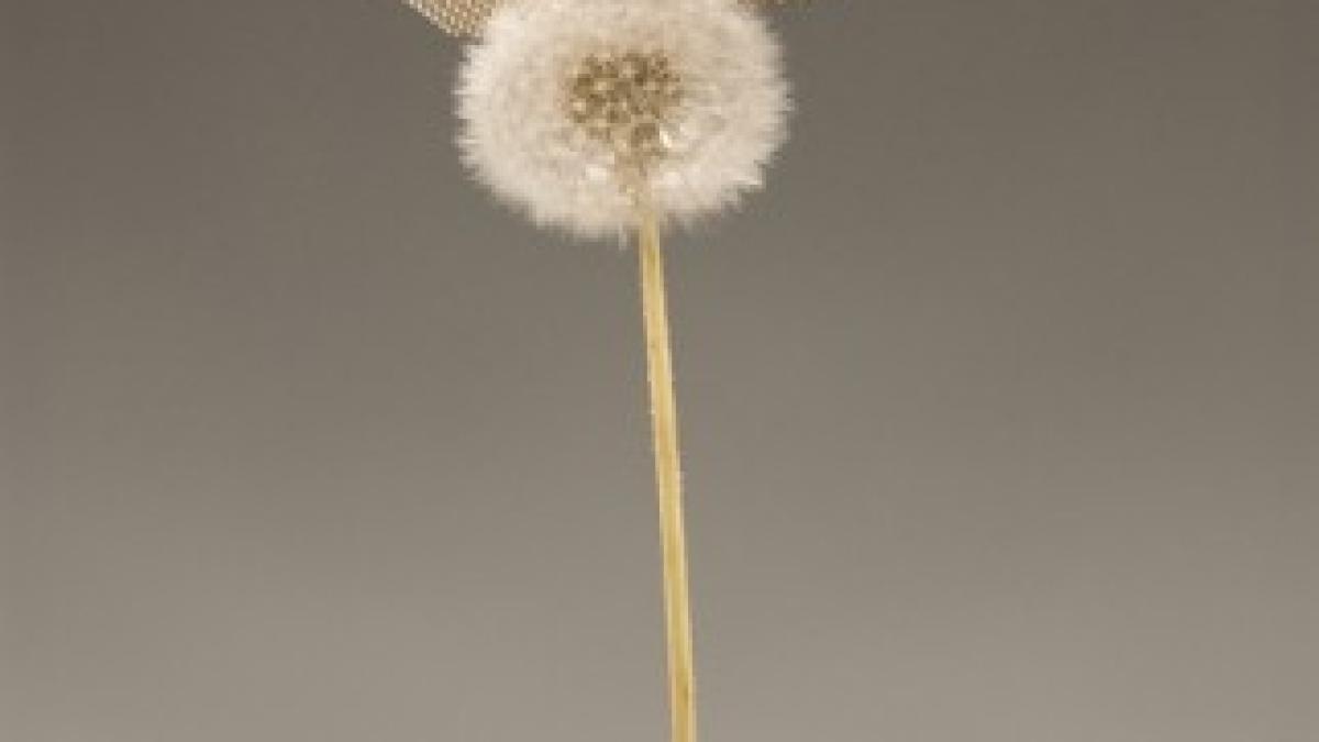 cel-mai-usor-material