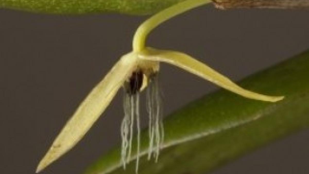 slide_198474_491138_small