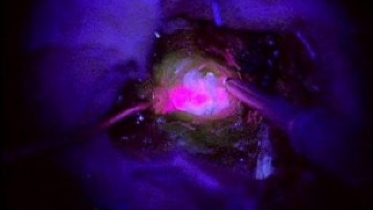 417454-article-2056014-0e9ec0d000000578-28_468x325