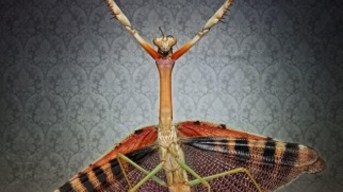 article-0-0EF58ED500000578-240_634x556