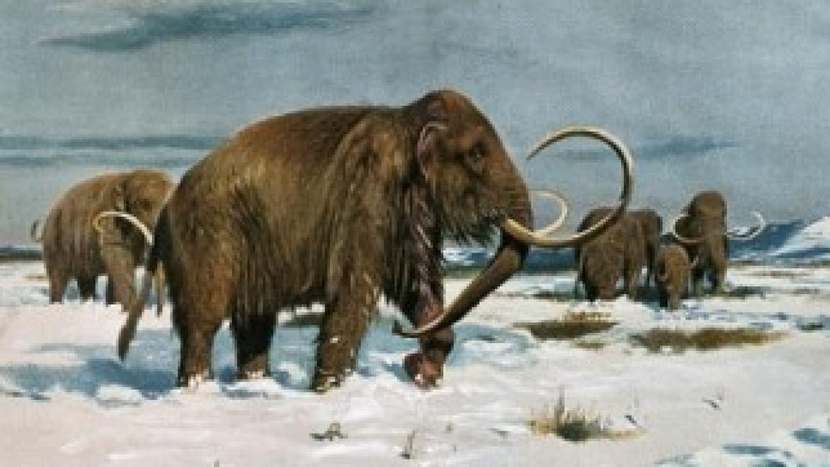 article-2069541-01899BC800000578-999_468x286