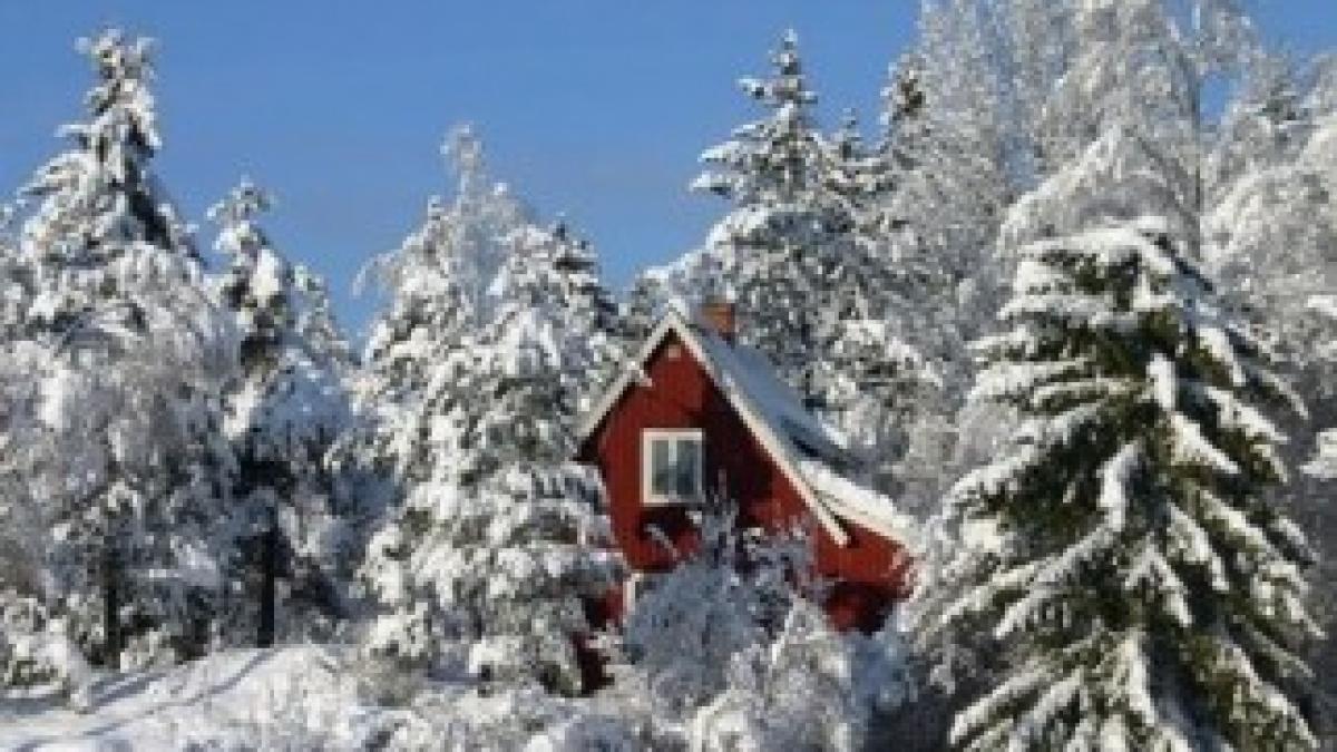 2019150774_99697cc4ab_b