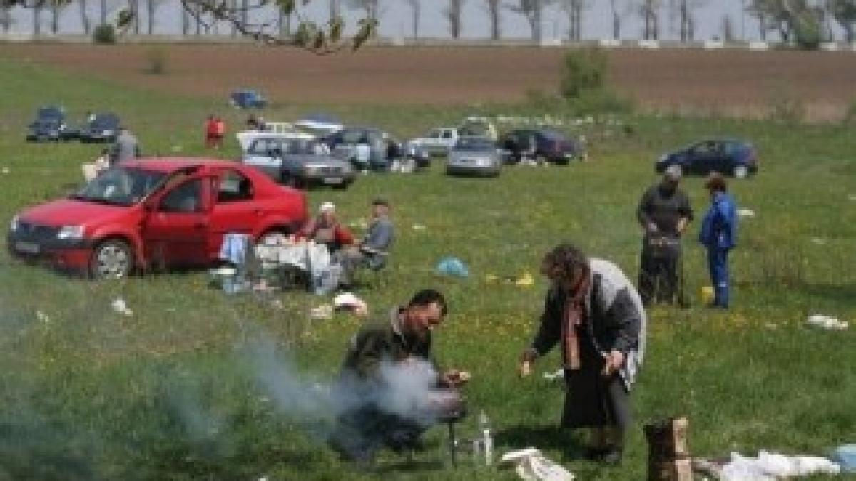 mizeria-de-langa-gratar