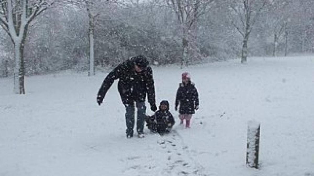 snow_children_460_460x300