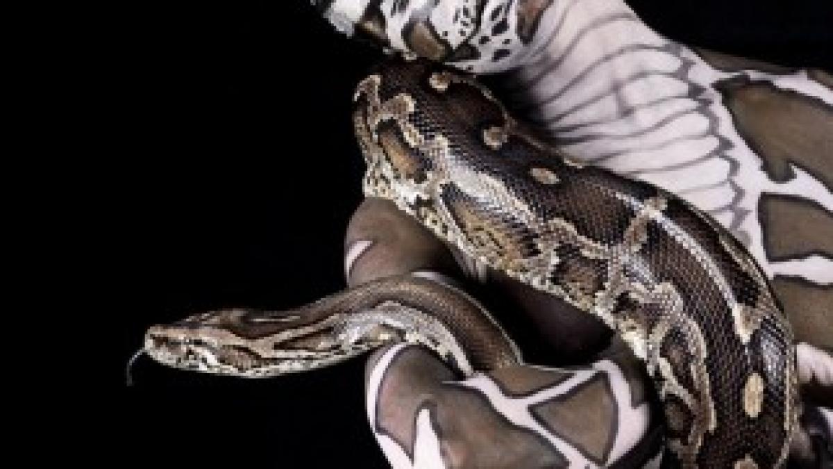 article-2034342-0DBBD7C000000578-179_964x1092