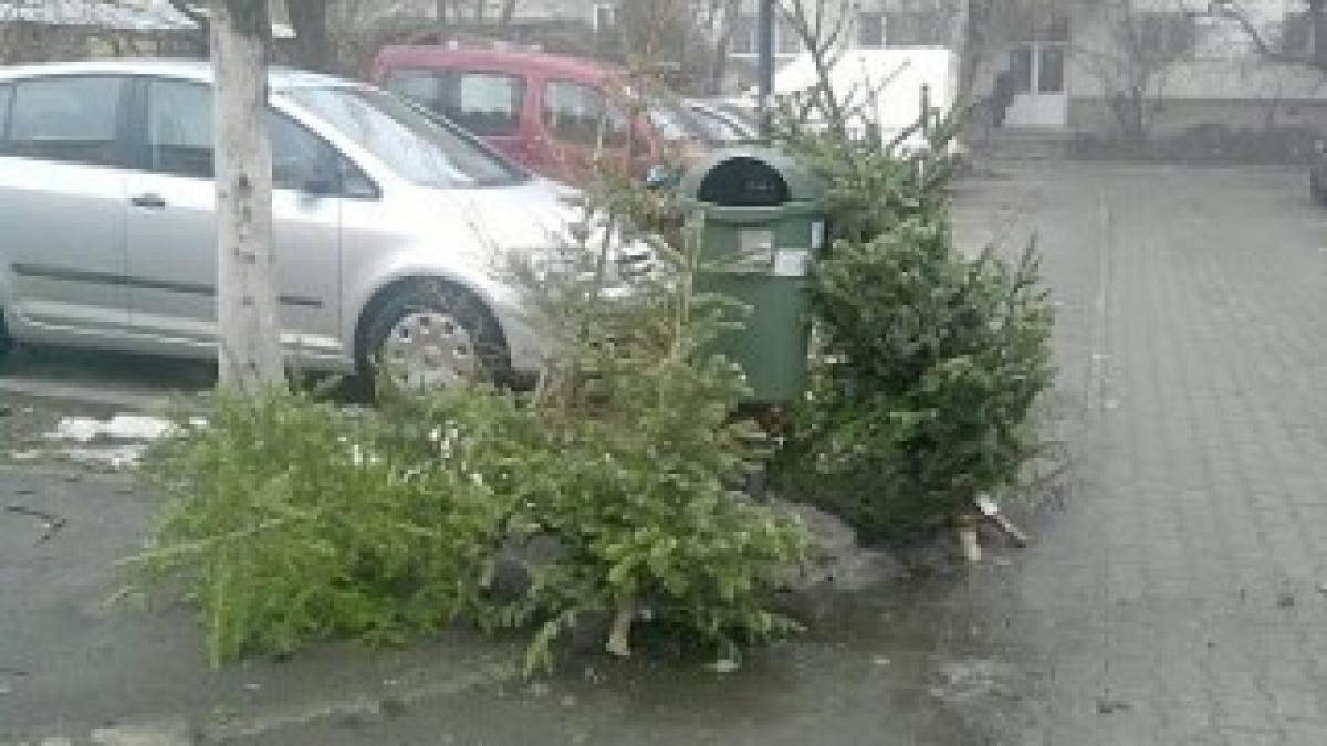 Bradutii-sacrificati