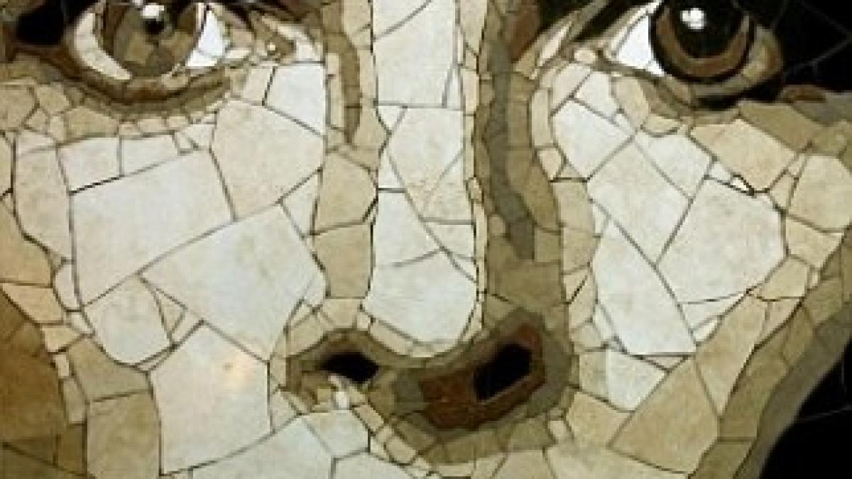 article-2083719-0F5DC12500000578-349_306x459