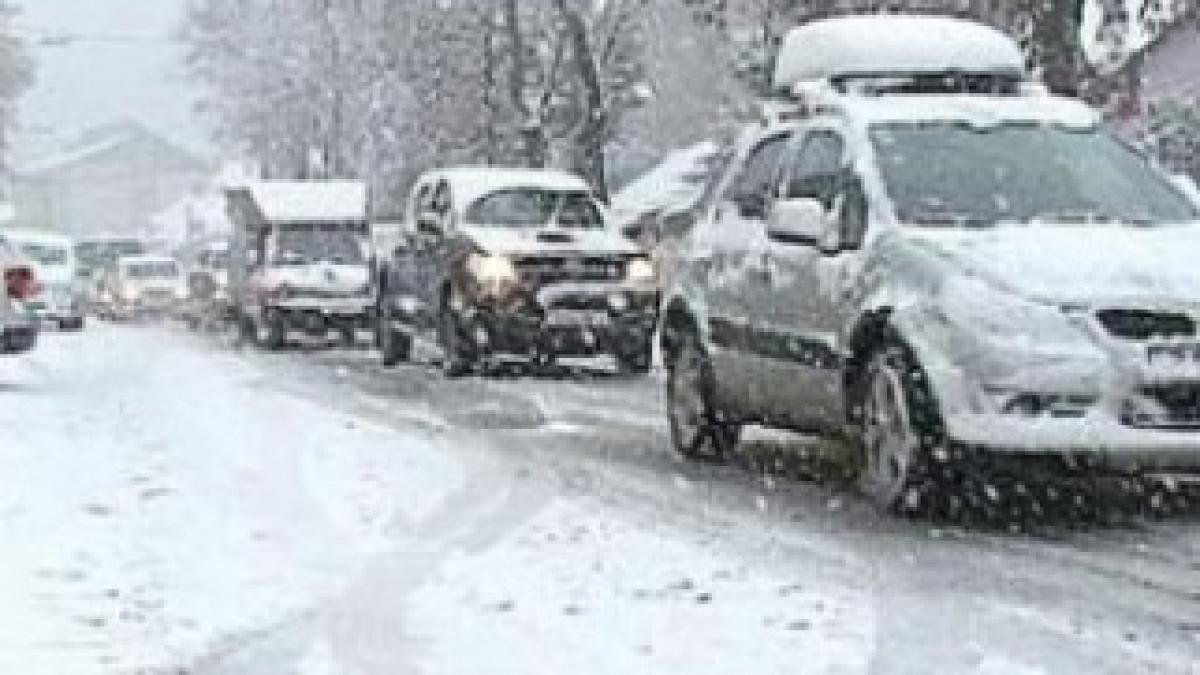 ninsoare-si-viscol-300x225