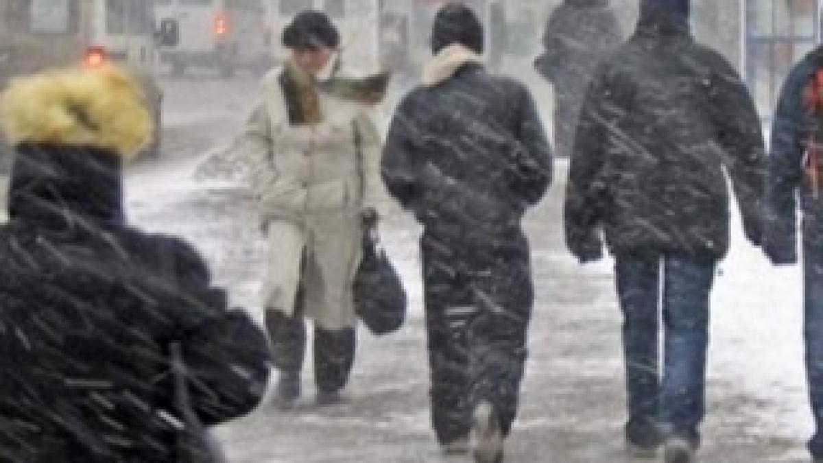 ninsoare_viscol_85393400