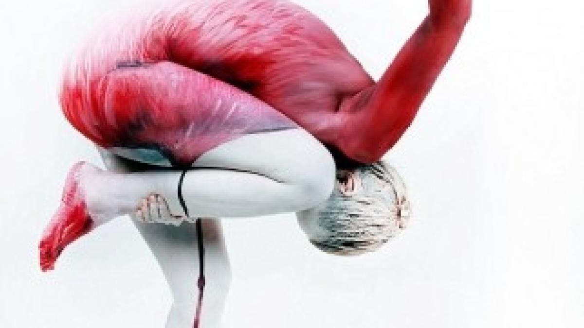 0e7a534e8d9e12b066ac_human-flamingo_1