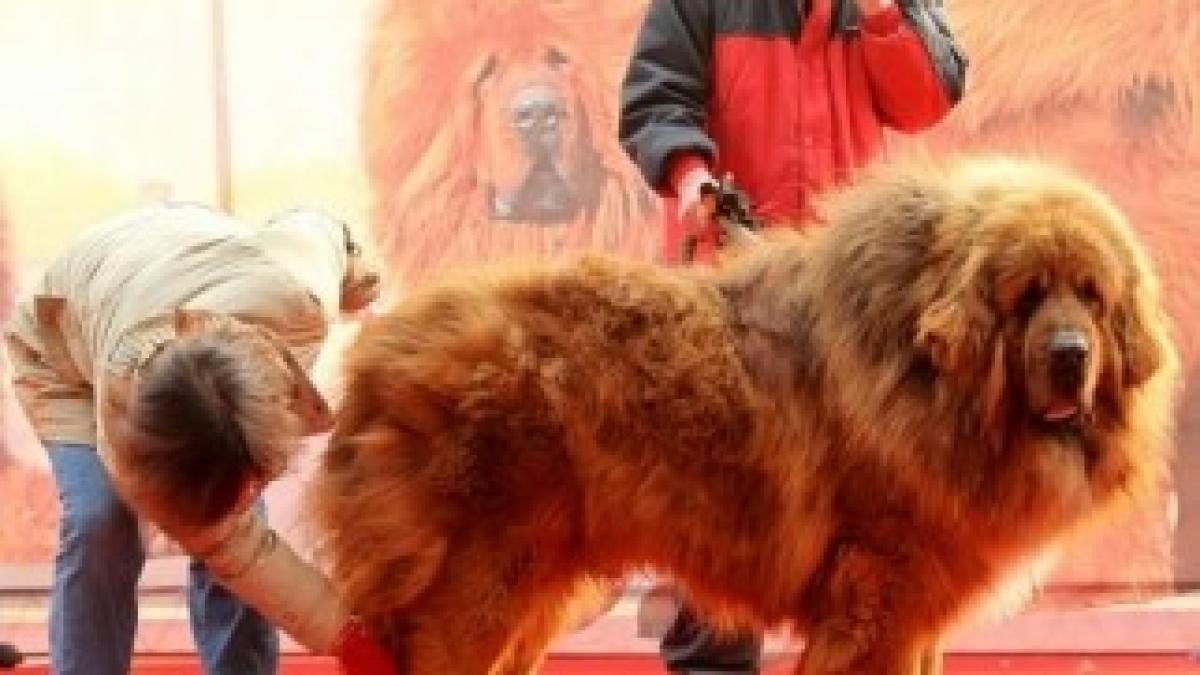 article-0-11C773E2000005DC-282_634x548