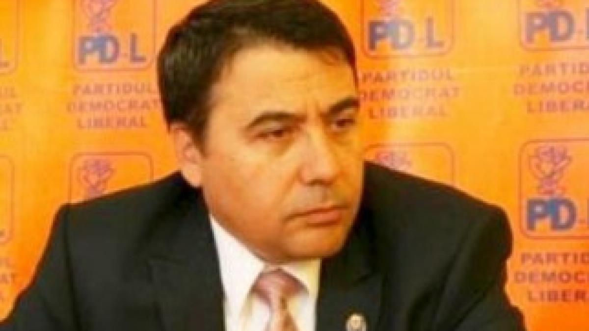 stelian-fuia-ministru