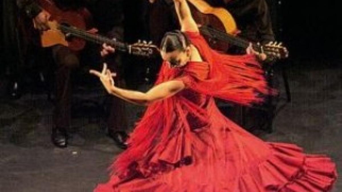 flamenco3