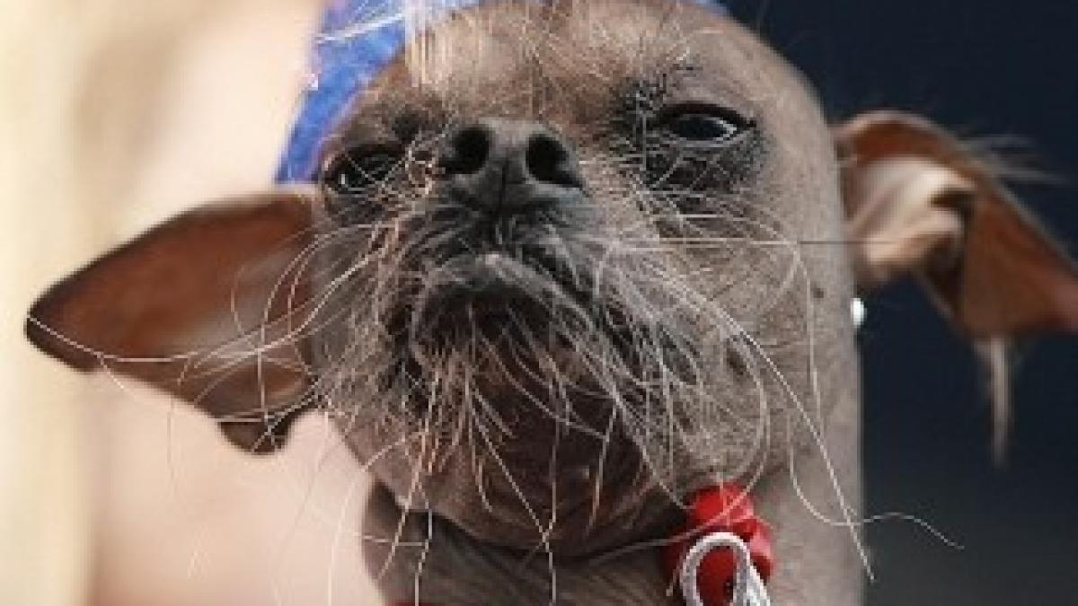 article-2163560-13BFB070000005DC-979_634x549