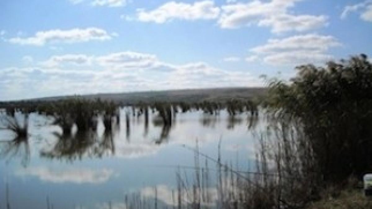 Rezervatia-naturala-Lunca-Joasa-a-Prutului-20110121121950
