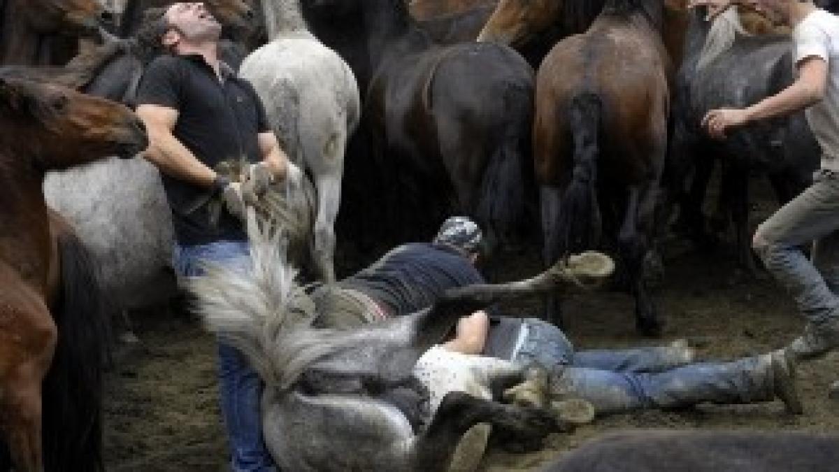 Oameni-VS-Cai-salbatici-Tema-unui-festival-din-Spania-1