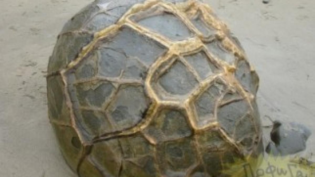 au-cazut-din-cer-si-nimeni-nu-si-poate-da-seama-ce-reprezinta-misterul-pe-care-stiinta-n-a-reusit-sa-l-dezlege-de-60-de-milioane-de-ani-158286