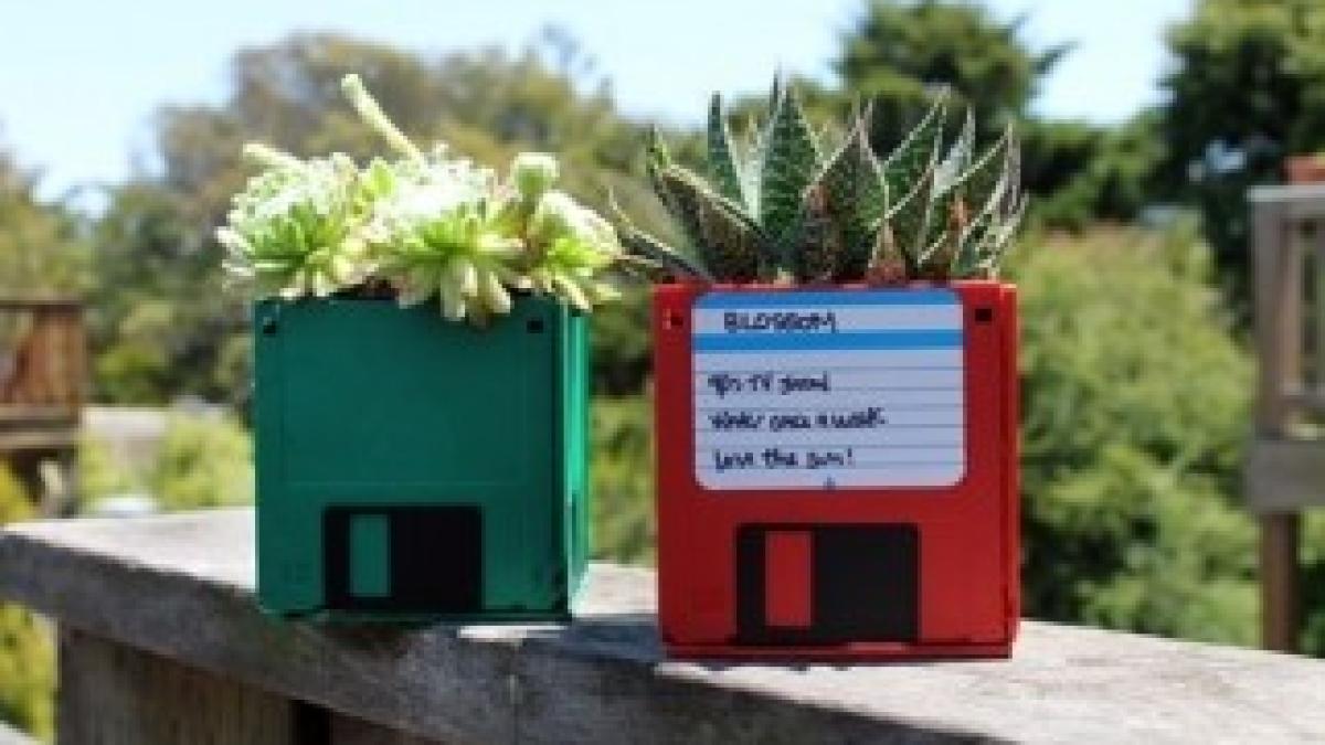 256775616224769092_D76QfafF_f