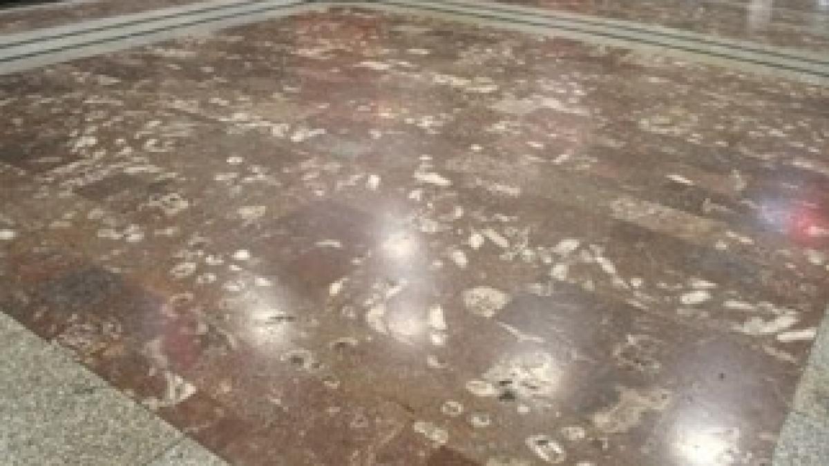 6e3fff776ce06a603d19e6fd7b576fb1_view