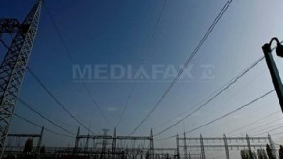 transelectrica-andreea-balaurea