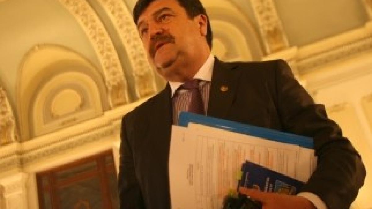 4208461-Mediafax_Foto-Gabriel_Petrescu