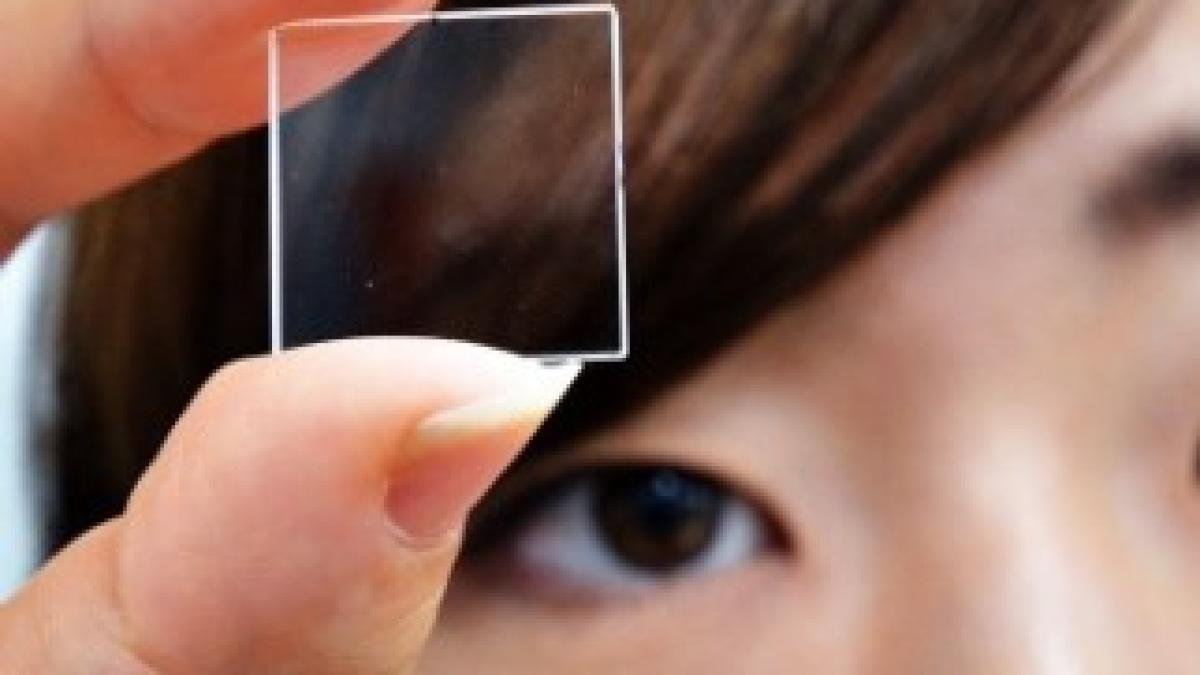 dispoziti-de-stocare-sticla