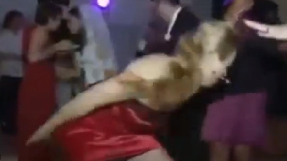 Screen-Shot-2012-12-26-at-4.25.10-PM