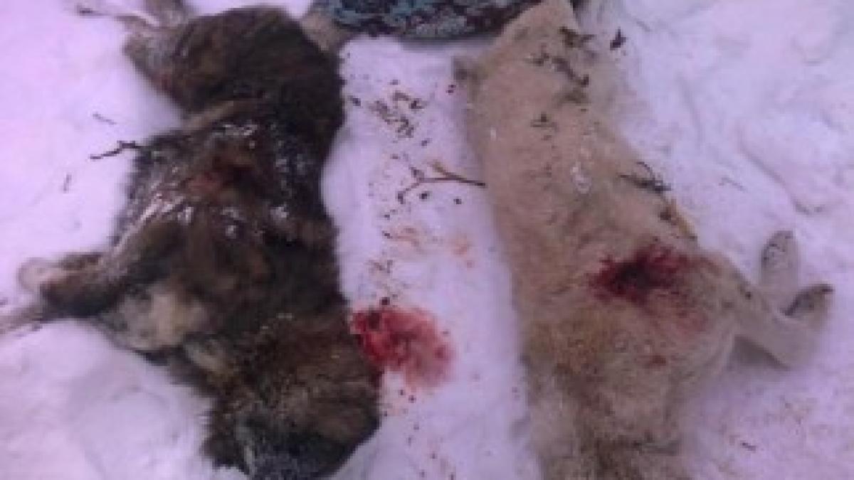 226773_4866461254815_141897566_n