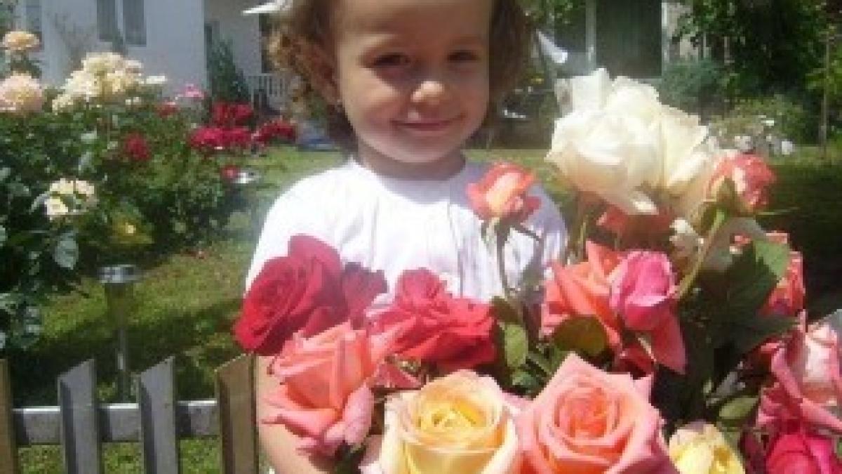 282943_390312167683933_484217290_n_2833390753