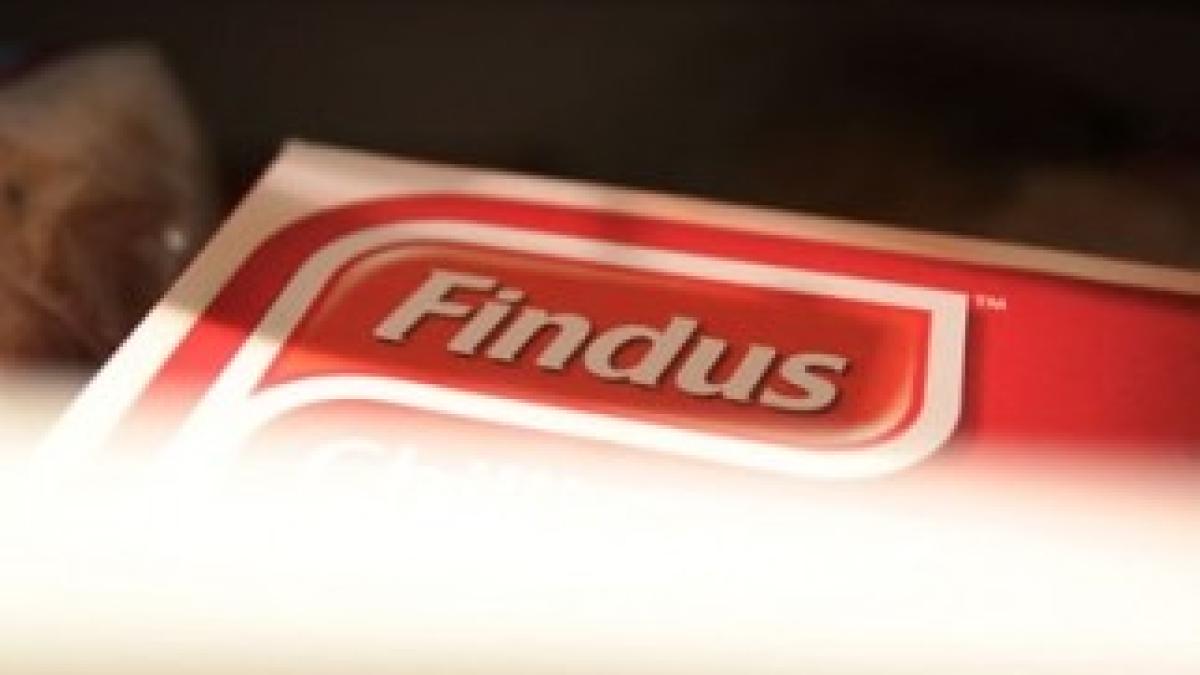 Findus-010