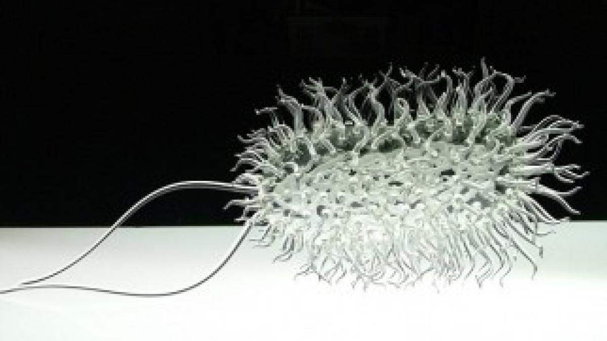 article-2276348-17765A2F000005DC-517_632x436