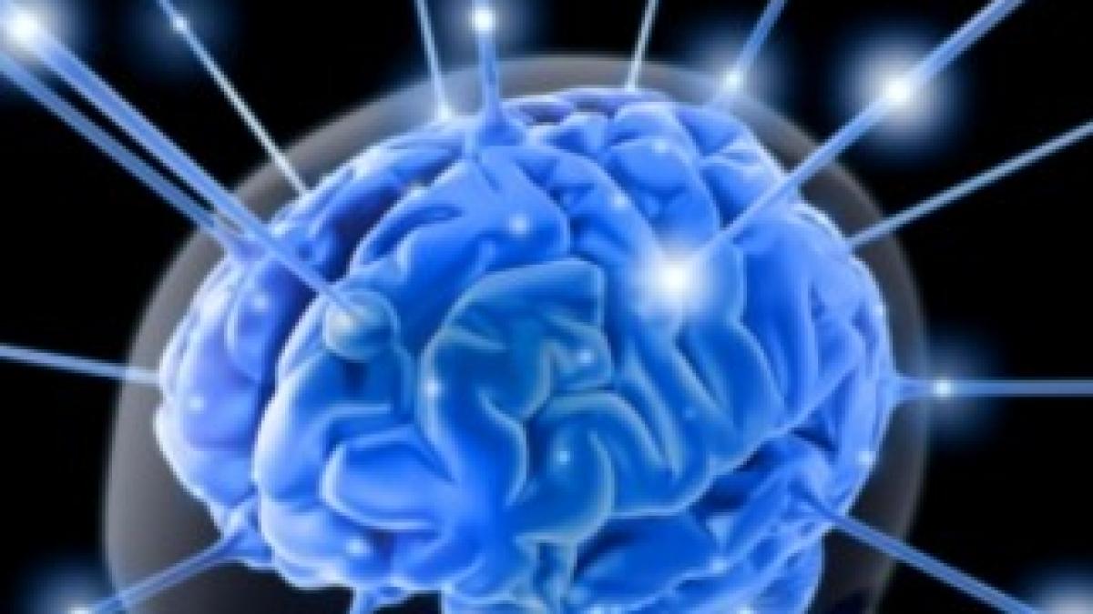 brain_763982_68361200