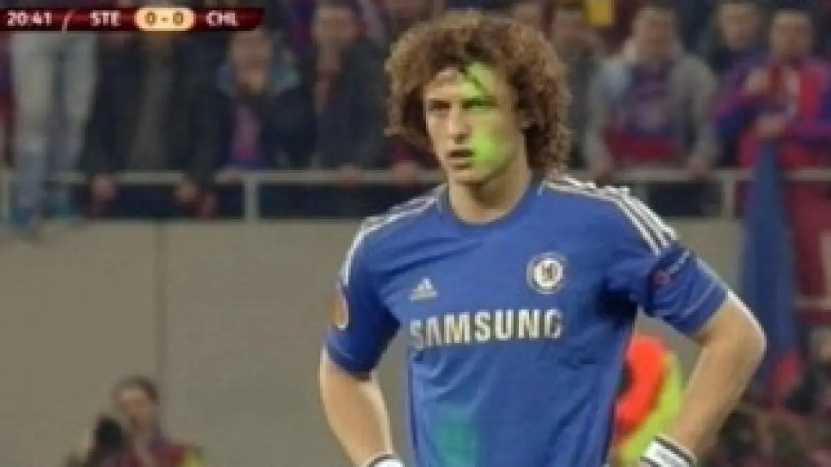 david