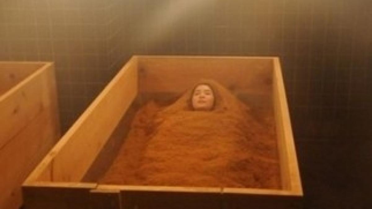 fermented-sawdust-treatment-550x292