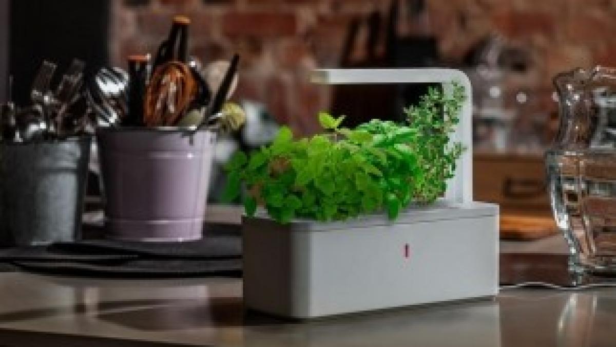 ghiveci_inteligent_nanotehnologie