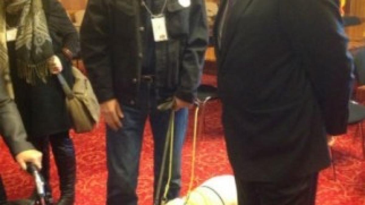 Gabriel-Stelu-Nicolescu